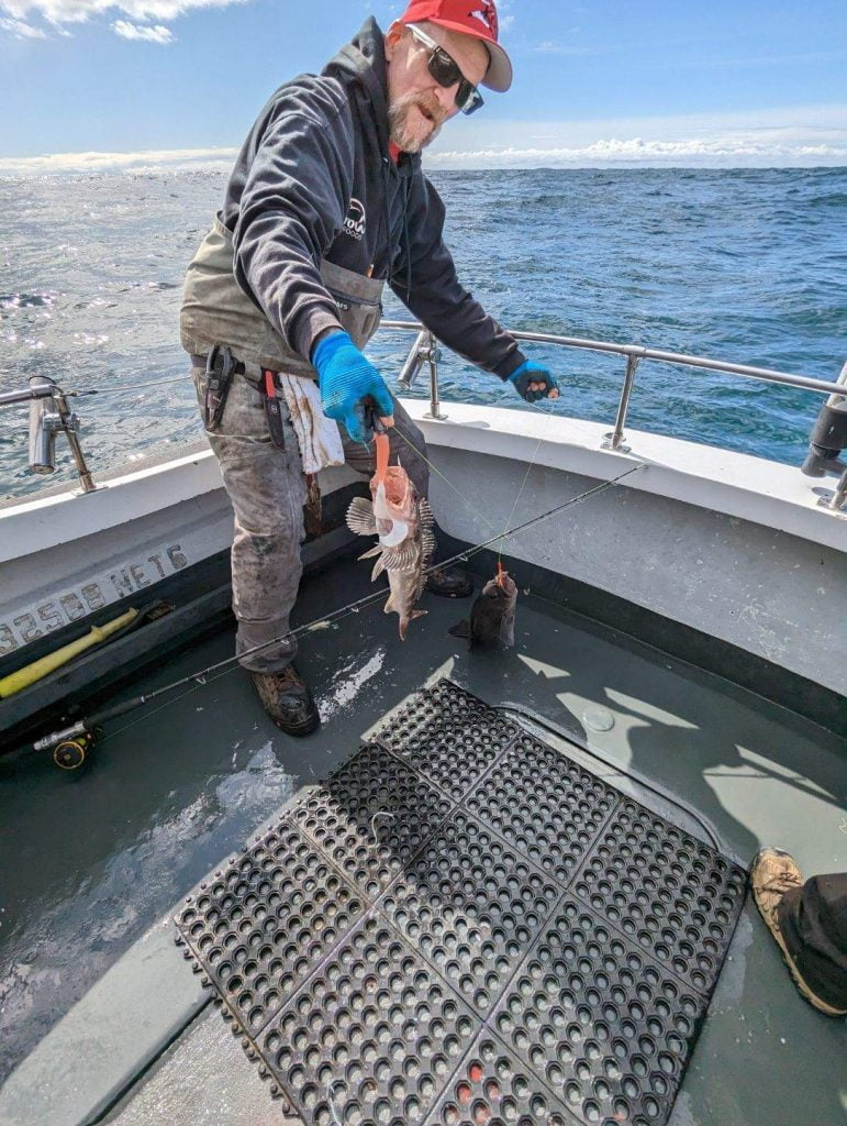 Catching Lingcod with soft plastic jigs in the Pacific Northwest